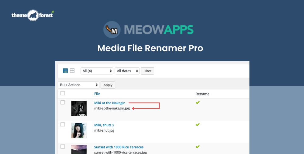 Media-File-Renamer-Pro