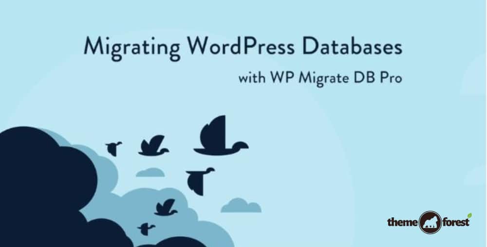 WP Migrate DB Pro