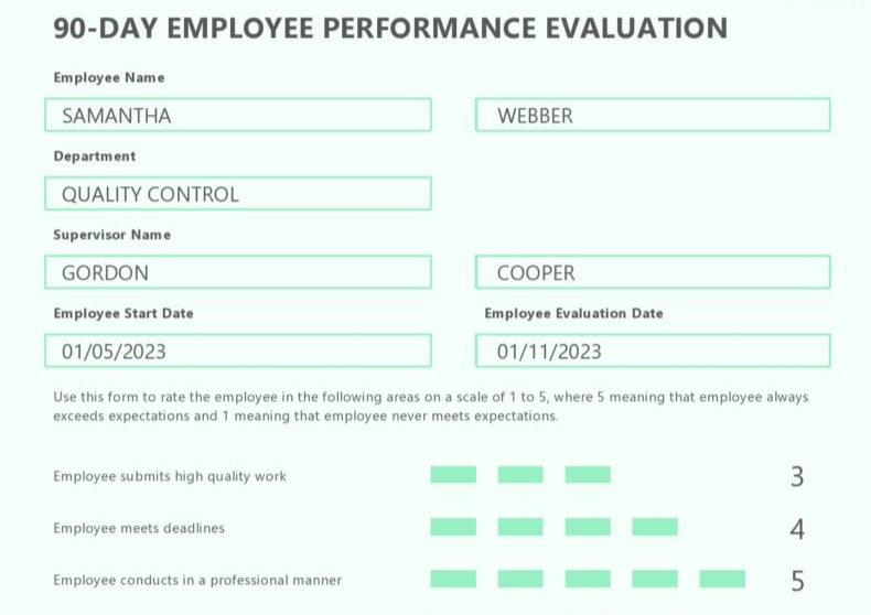 90 day Employee Performance Evaluation