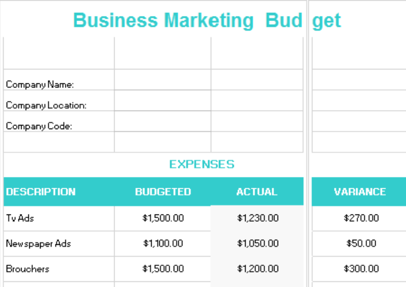Business Marketing budget