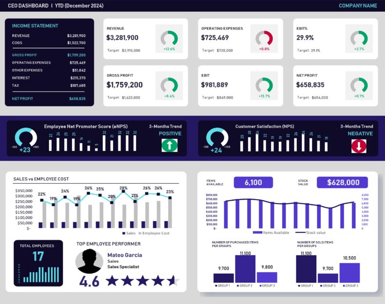 CEO Dashboard Template