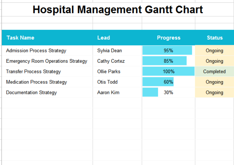 Hospital Management Gantt Chart