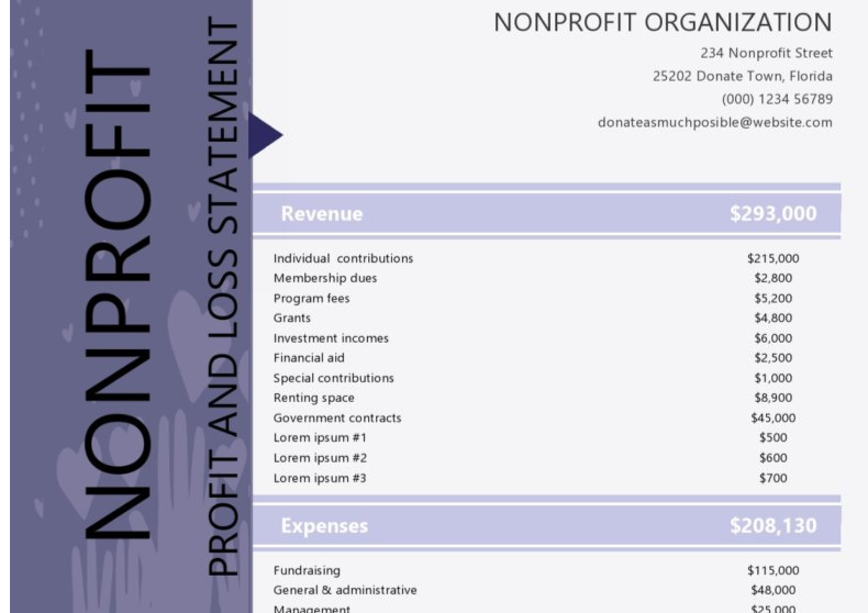 Nonprofit Profit and Loss Statement