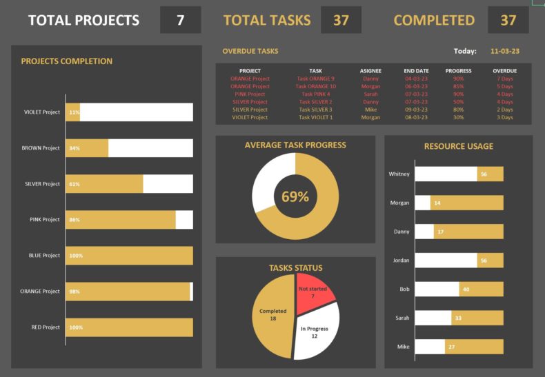Project Management Dashboard Template