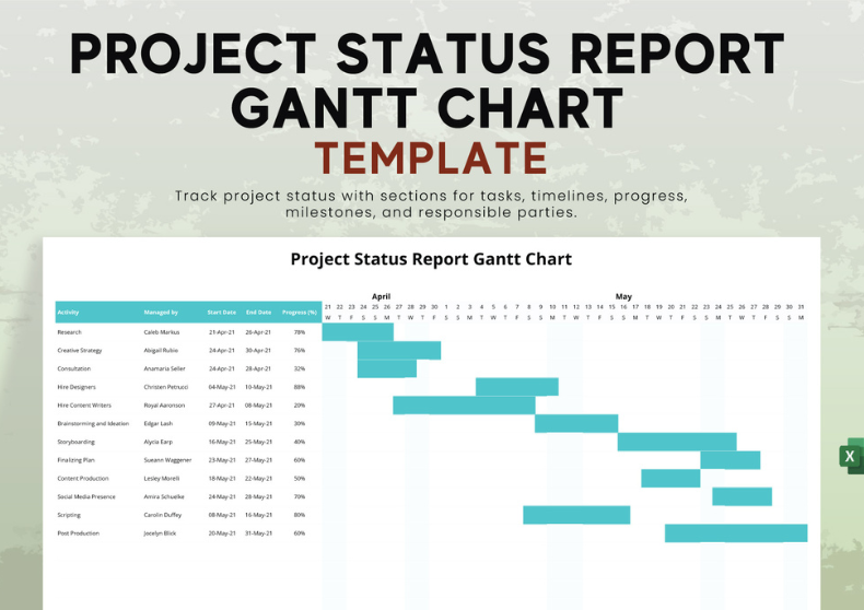 Project Status Report Gantt Chart