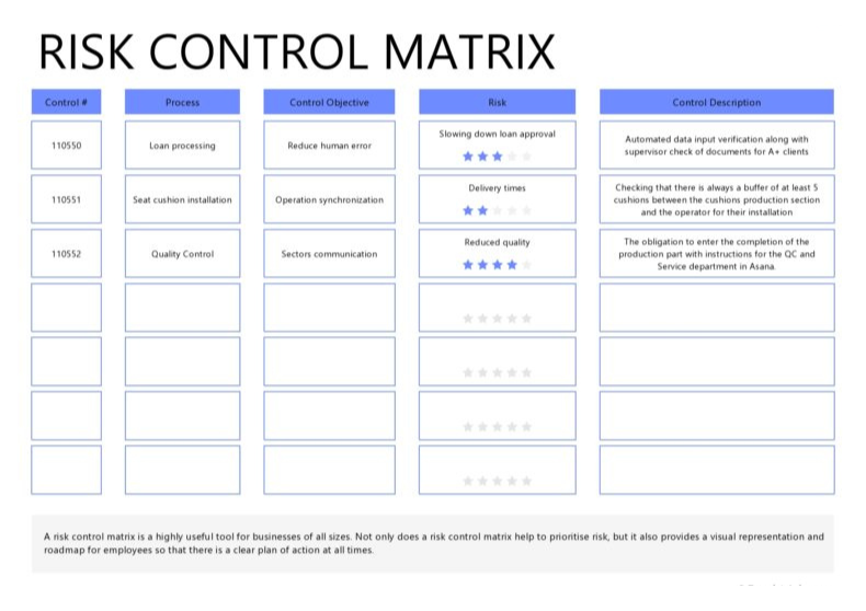 Risk Control Matrix Template